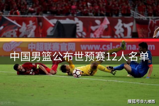 中国男篮公布世预赛12人名单